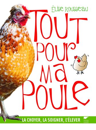 poule