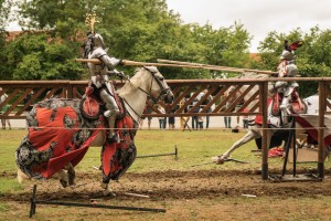 Chevalerie - photo Francois Hamm (9)