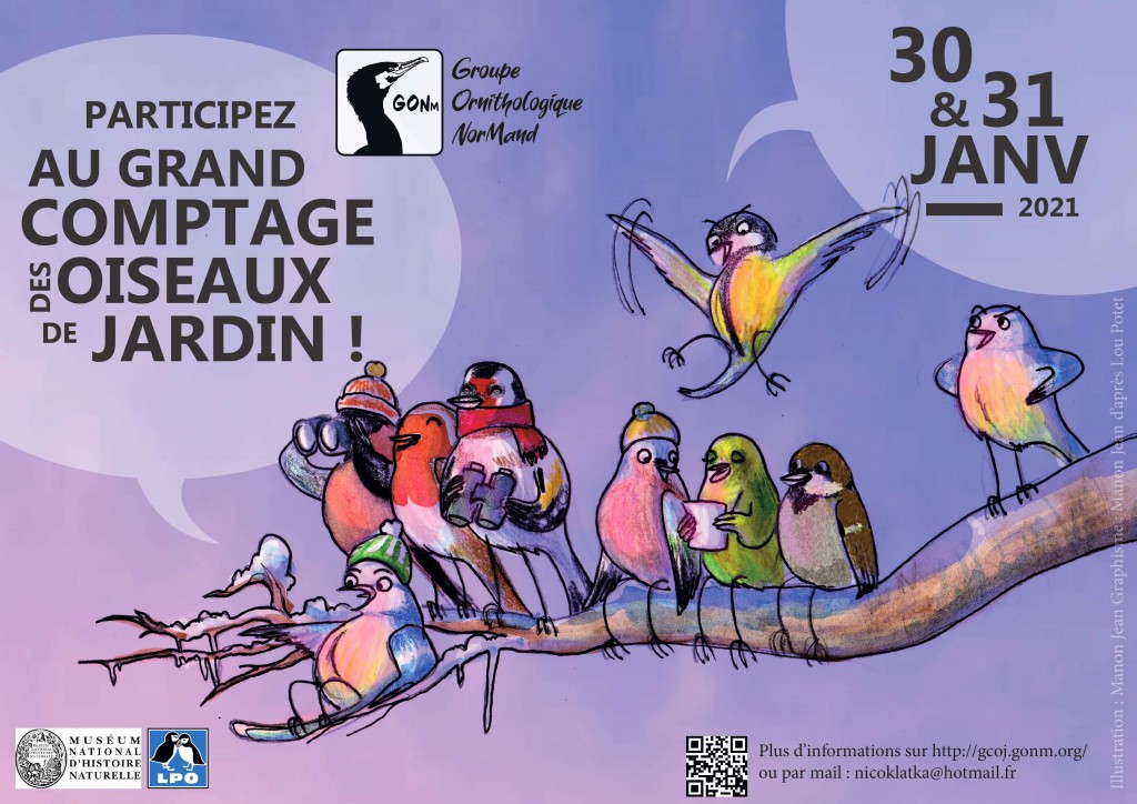 grandcomptagedesoiseaux