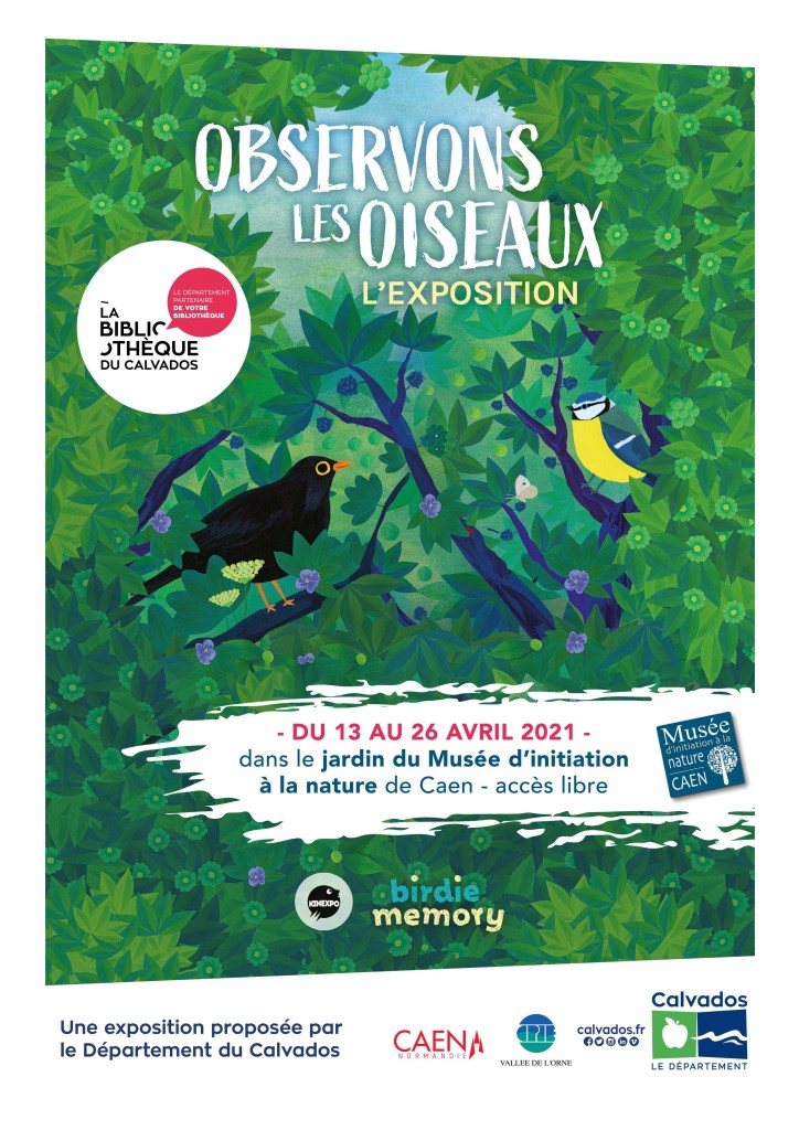 affiche_exposition_observonslesoiseaux_museenaturecaen