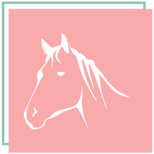 Haras & Spectacle équestre