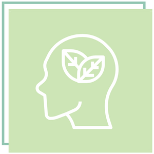 Sensibilisation à l'Environnement