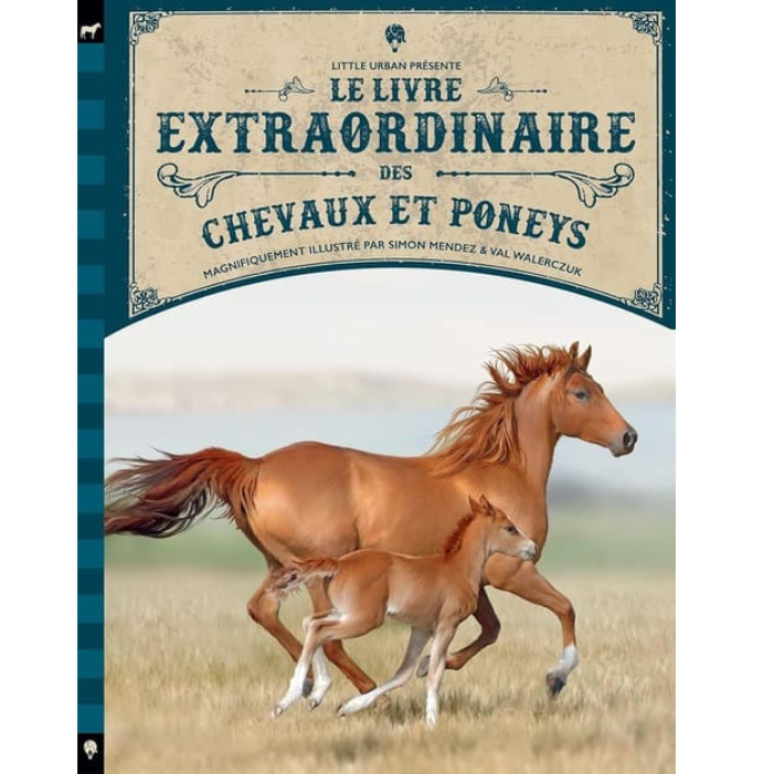 Tartine n°106 – Claire Lamy