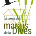 Amis des Marais de la Dives